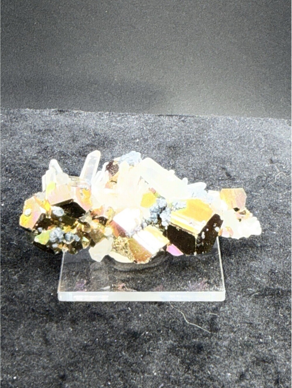 Naturally Iridescent Pyrite on Quartz Crystal Mineral Specimen Indonesia